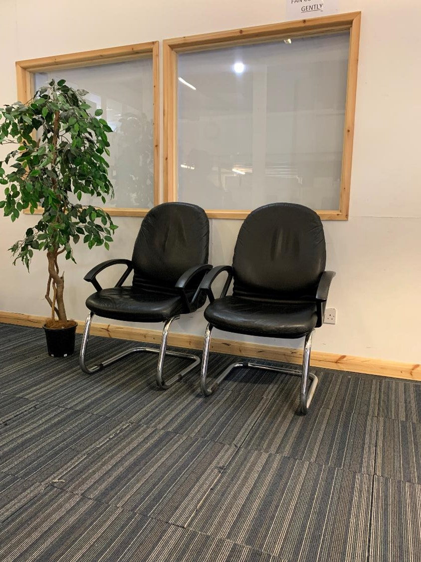 Leather Cantilever Chairs