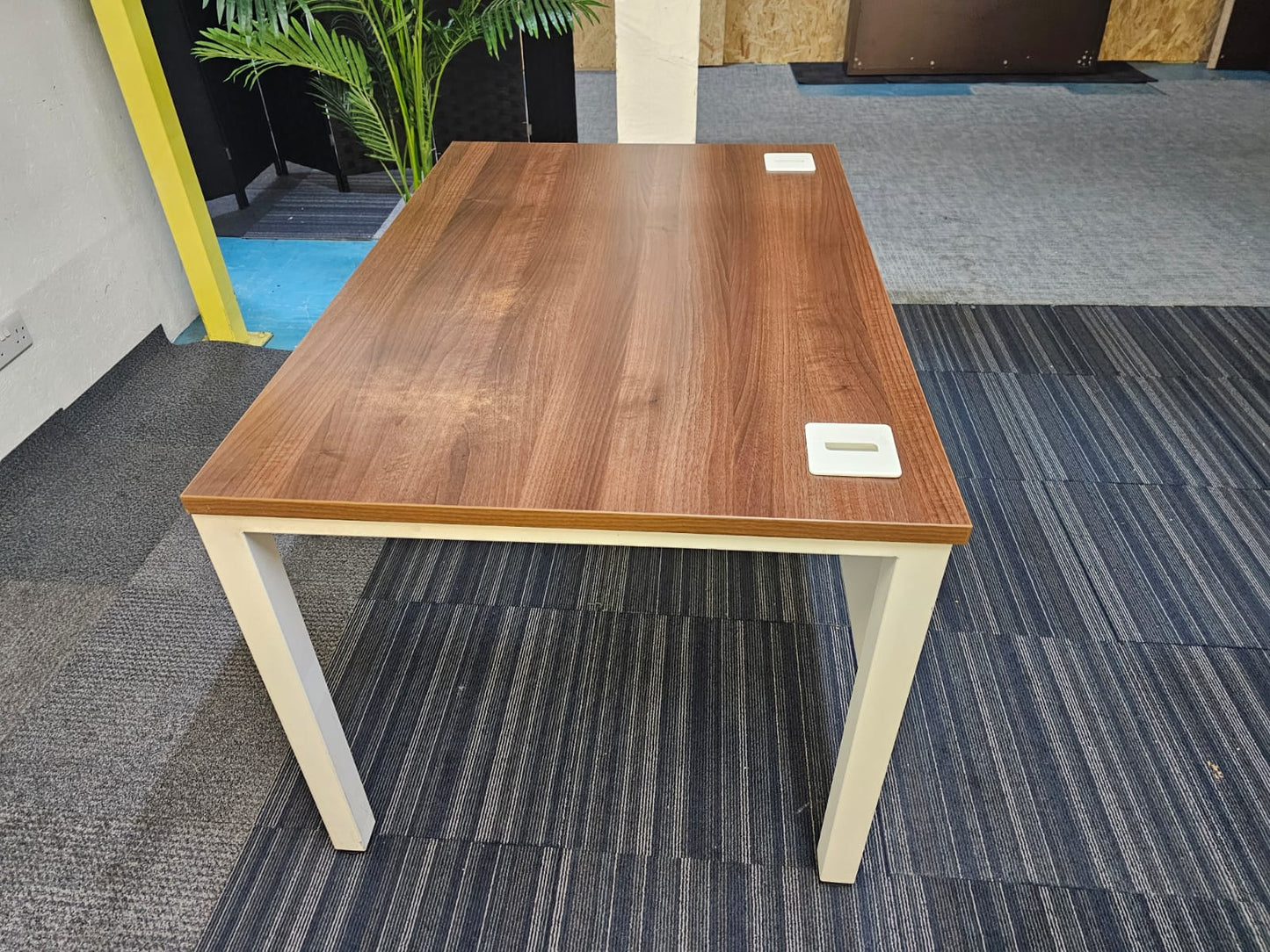 Walnut finish study desk with contrasting white legs and modesty panel