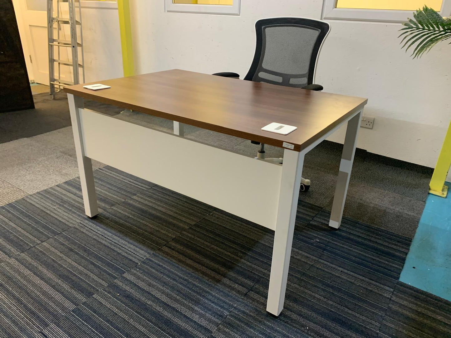 Walnut finish study desk with contrasting white legs and modesty panel
