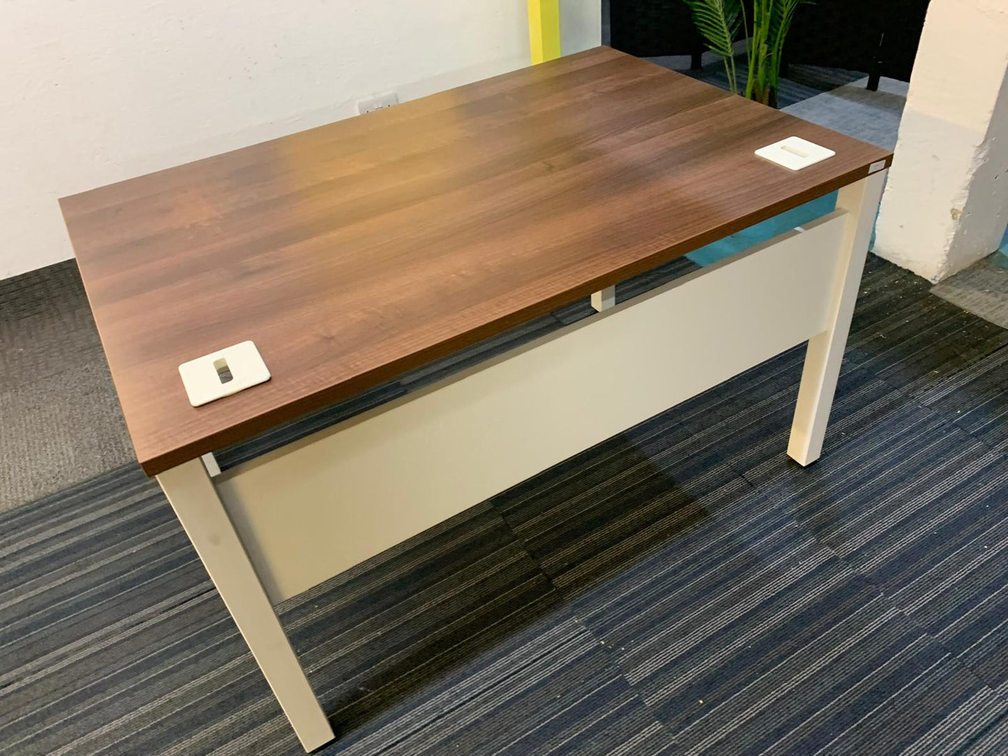 Walnut finish study desk with contrasting white legs and modesty panel