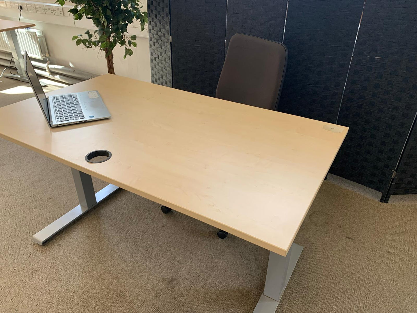 Light brown electric stand up office desk, sit stand height adjustable table in maple finish