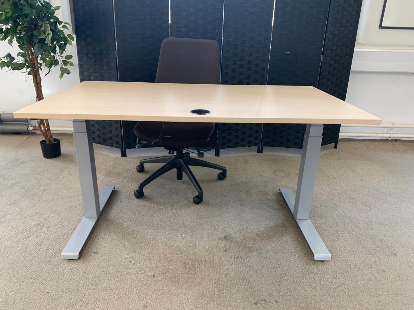Light brown electric stand up office desk, sit stand height adjustable table in maple finish