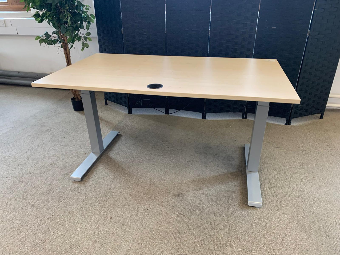 Light brown electric stand up office desk, sit stand height adjustable table in maple finish