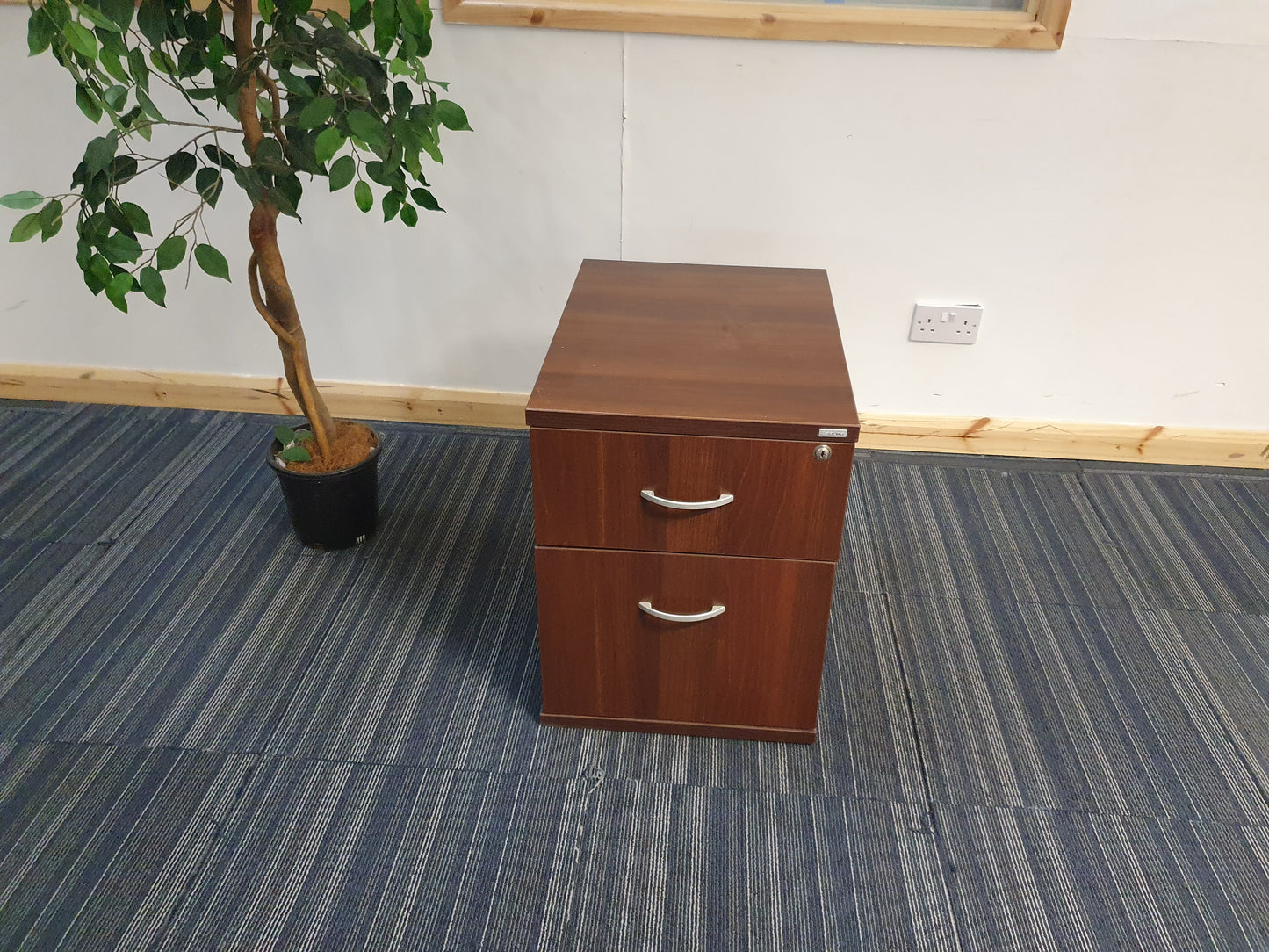 Brown under desk drawer beside tall green plant