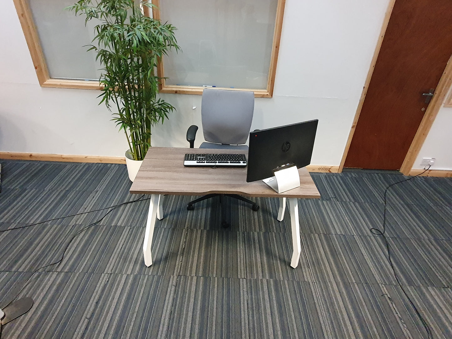 Tall green plant, grey desk chair at small office table with monitor and keyboard