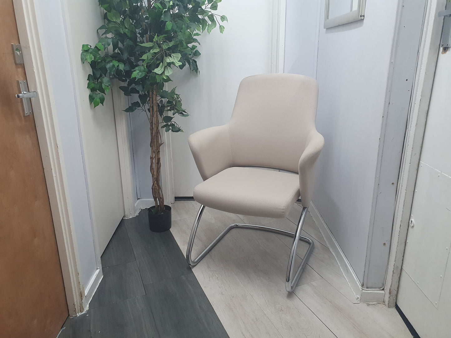 Left, tall green plant, Cream office meeting chair with chrome legs