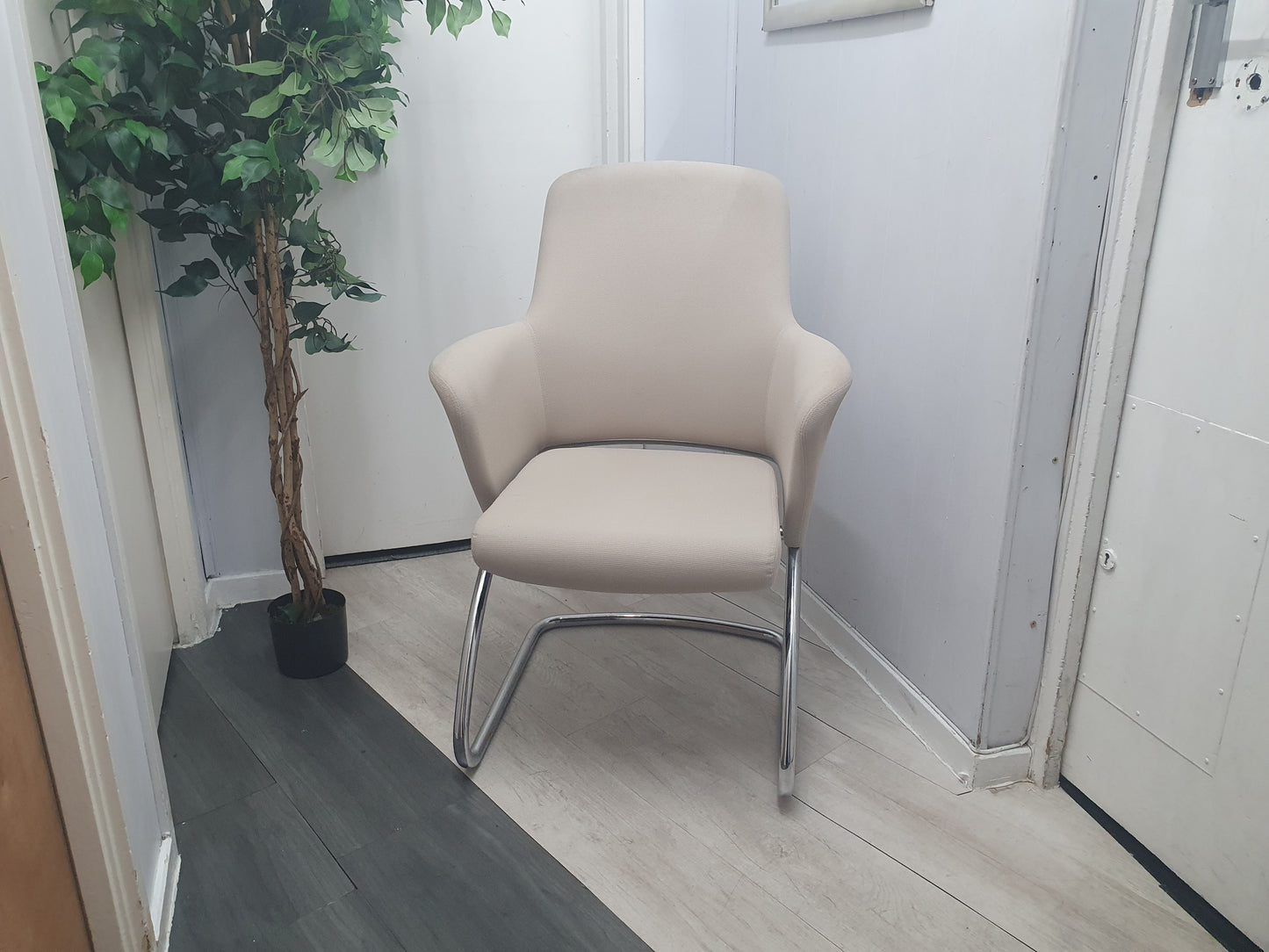 Left, tall green plant, Centre, Senator Cream office meeting chair with chrome legs