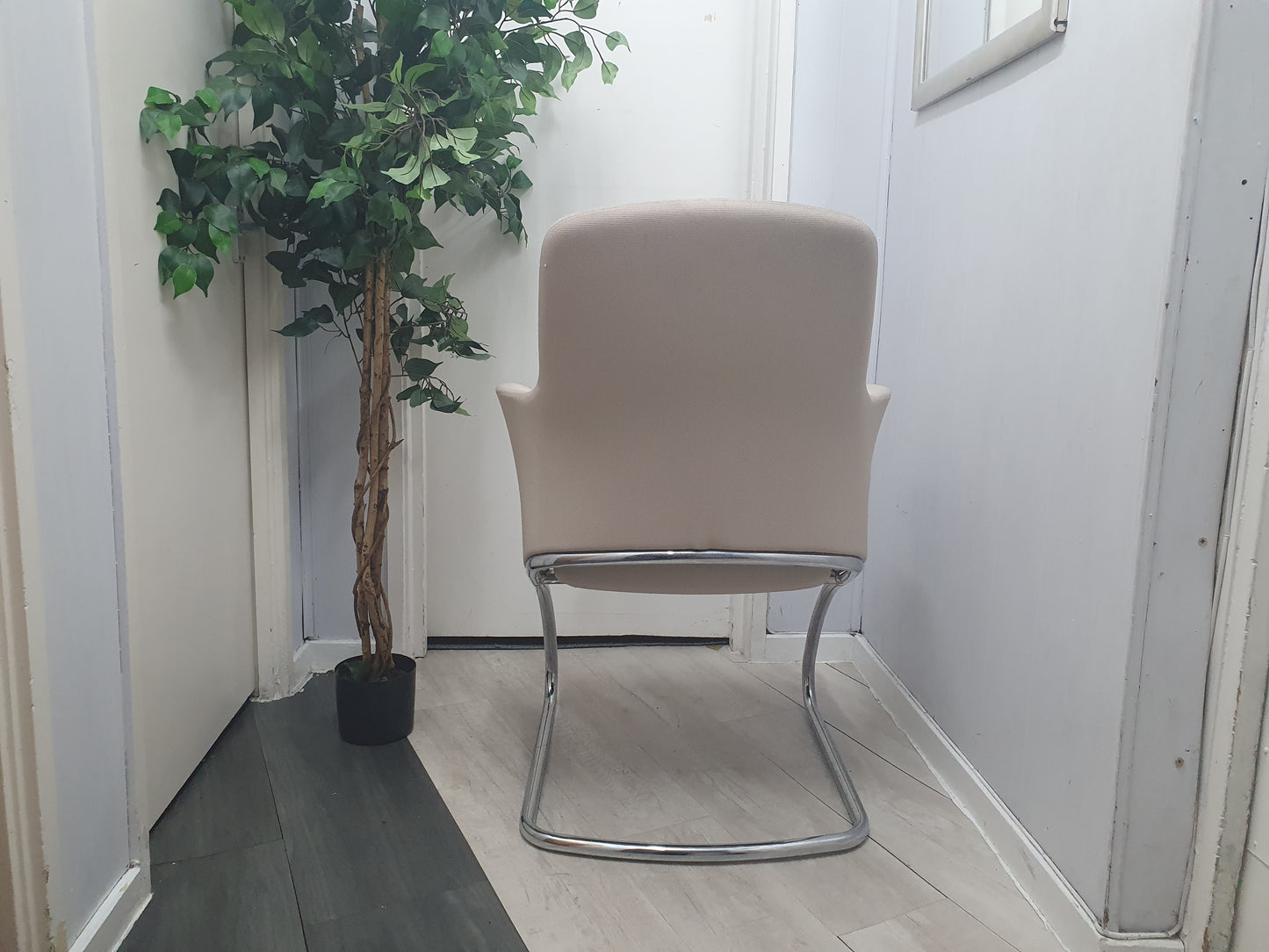 Left, tall green plant, Centre, Back of Senator Cream office meeting chair with chrome legs