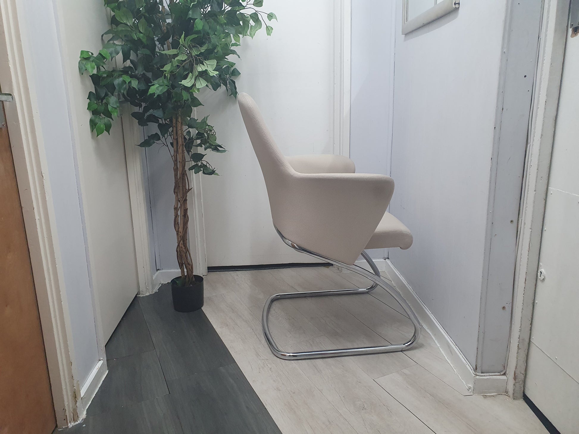 Left, tall green plant, Centre, Side of Beige Senator office meeting chair with chrome legs