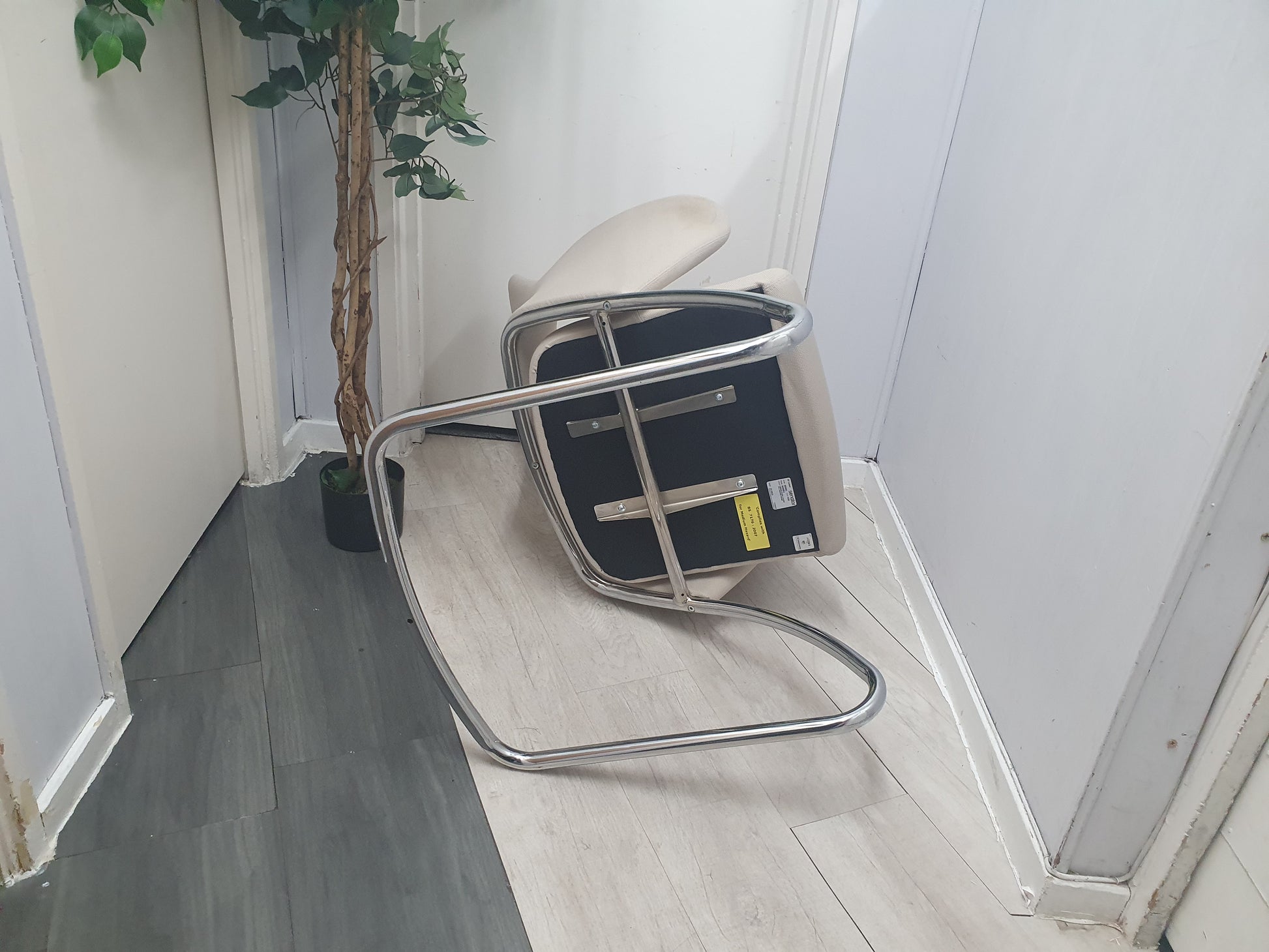 Left, tall green plant, Centre, Base of Beige Senator office meeting chair with chrome legs