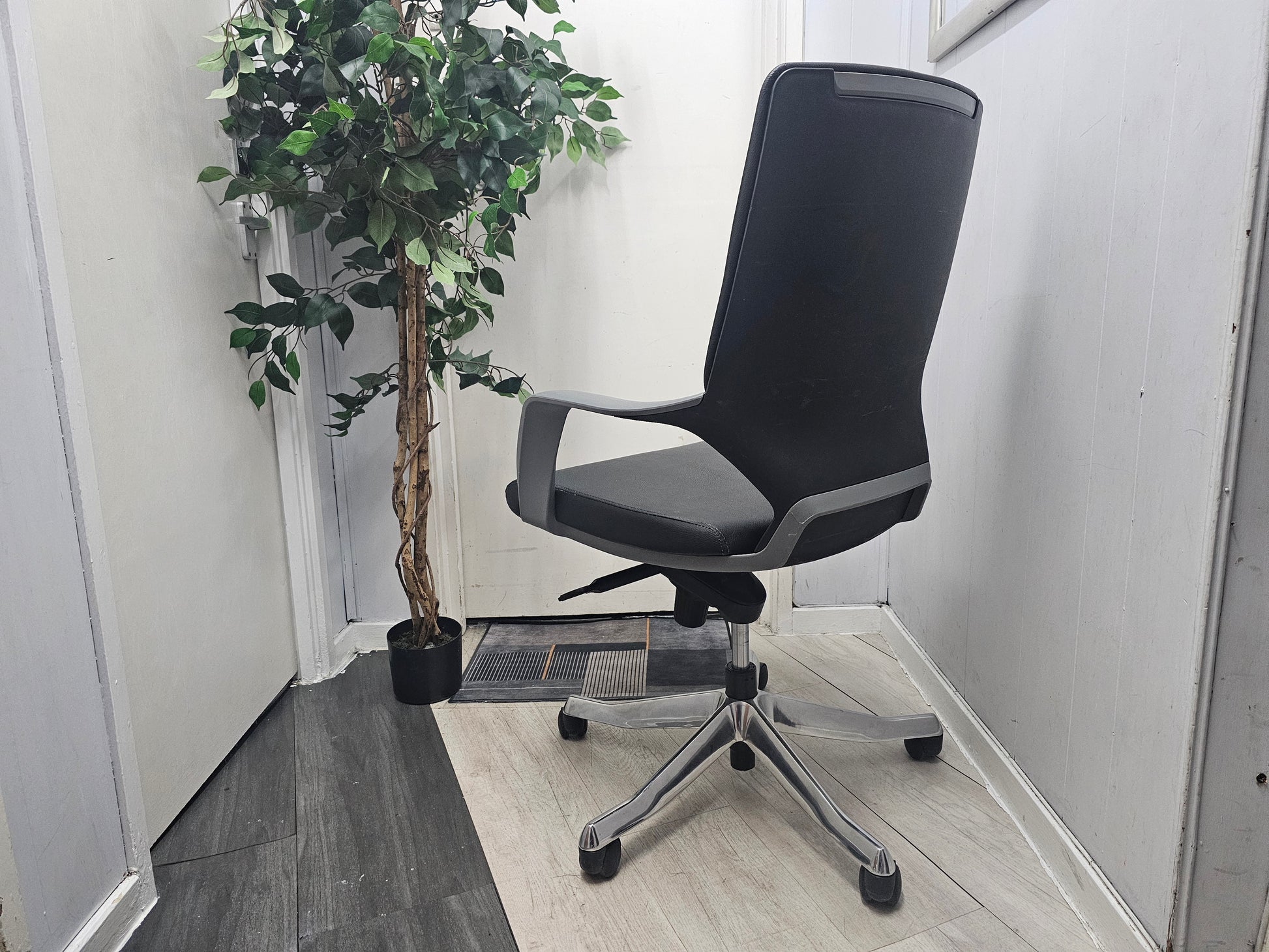 Left, tall green plant, centre, Black leather office swivel chair 