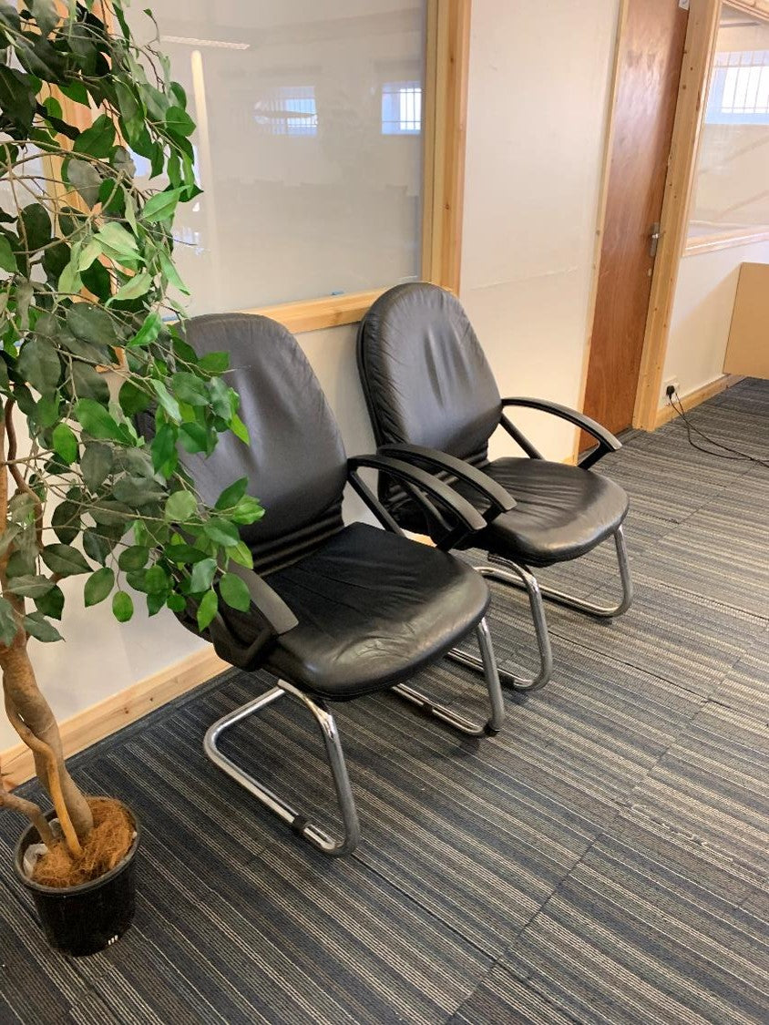 Leather Cantilever Chairs