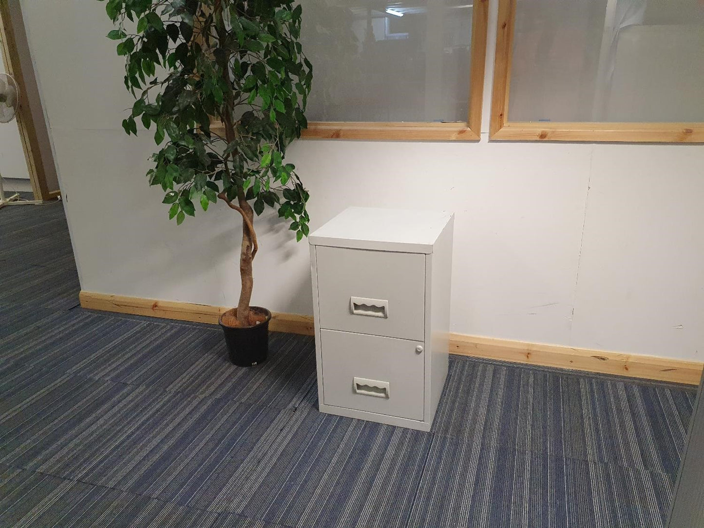 Green plant, with grey filing cabinet