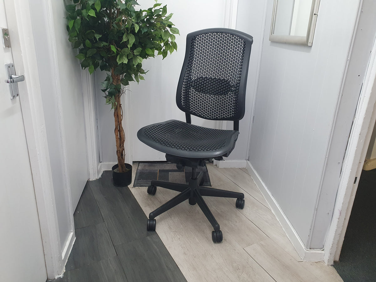 A black Herman Miller Celle office chair with adjustable features, situated in a room with a potted plant to the side.