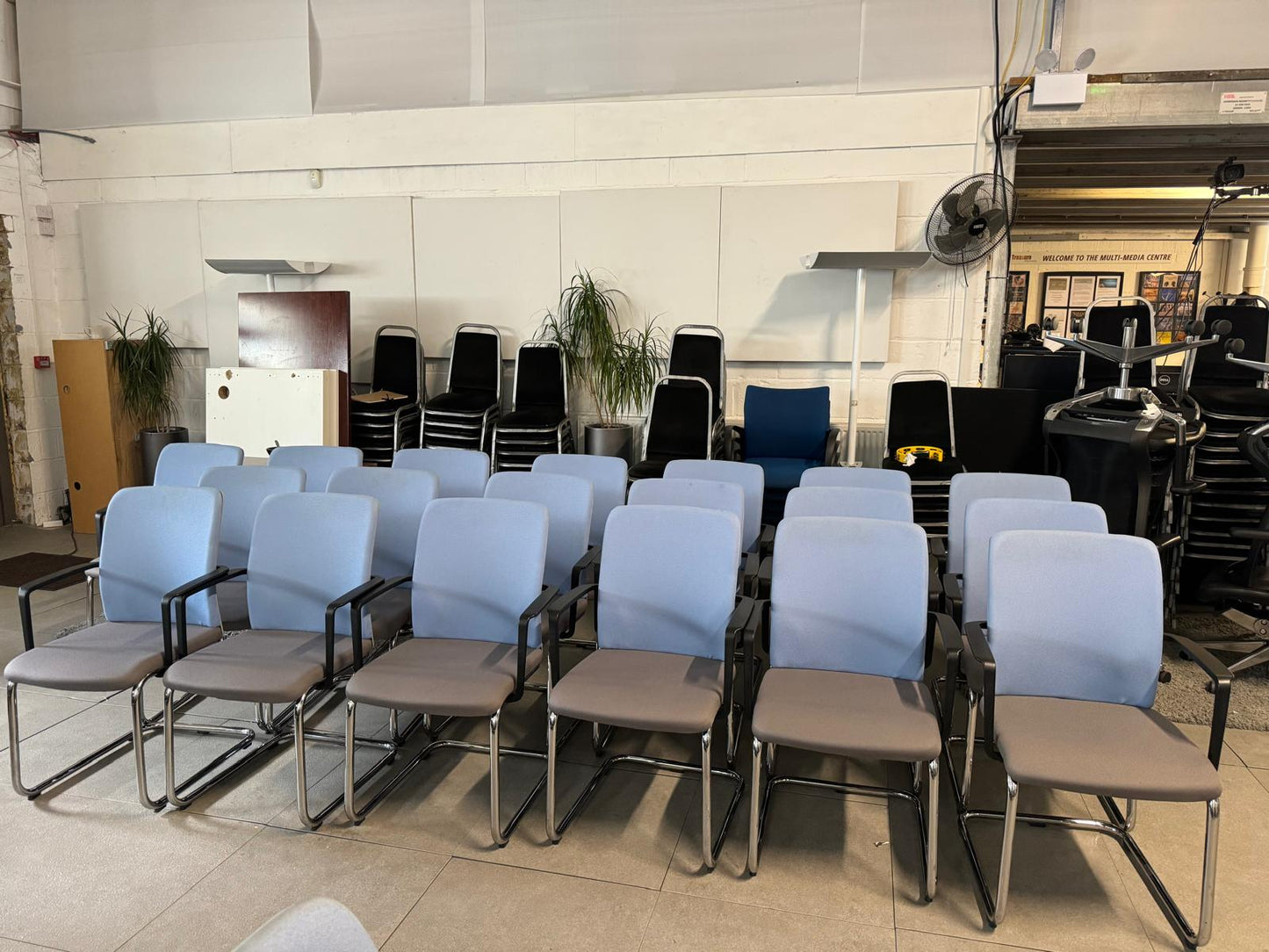 Multiple conference room chairs in blue