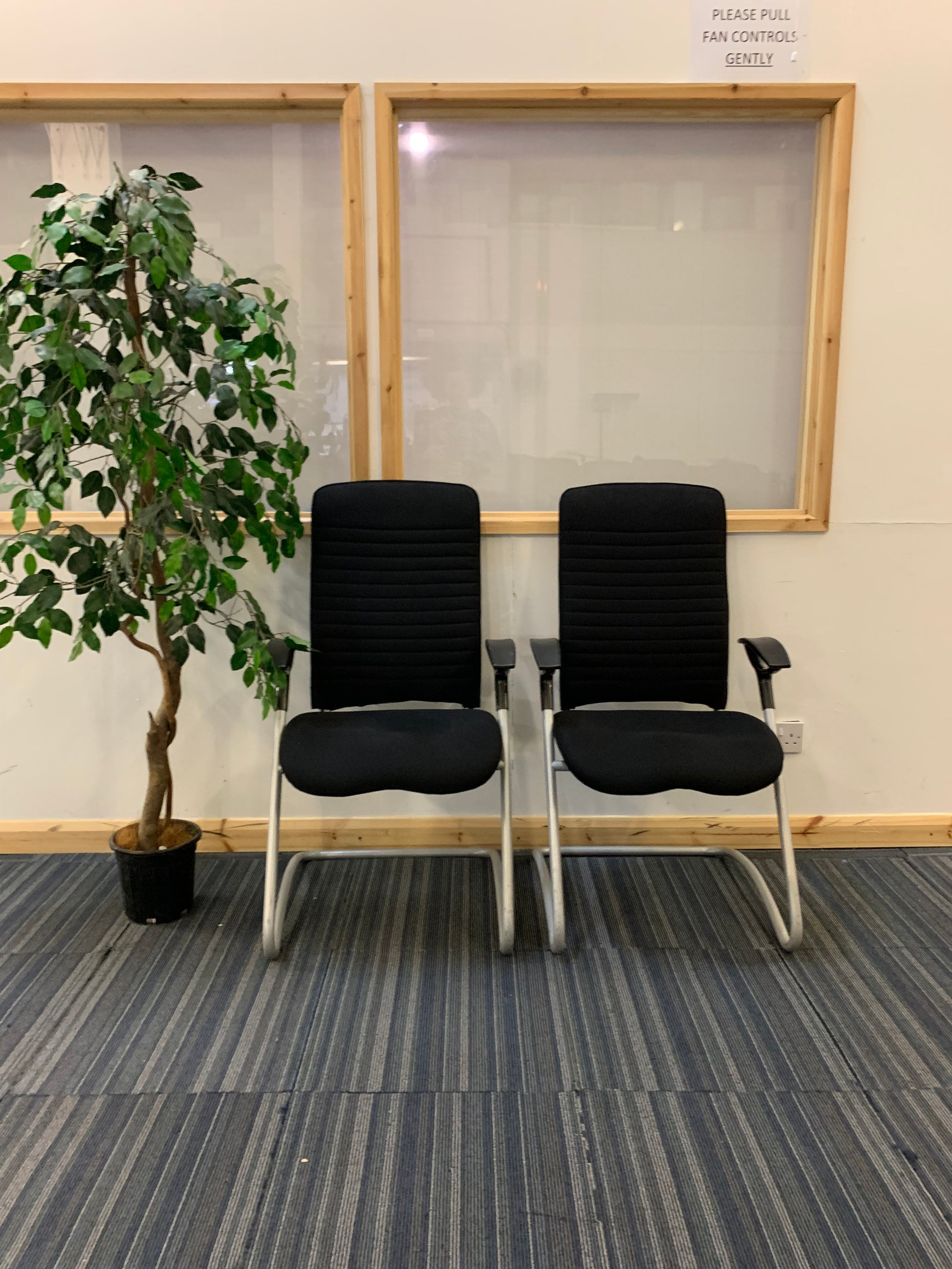 2 Tall back cantilever executive chairs, left, tall green plant