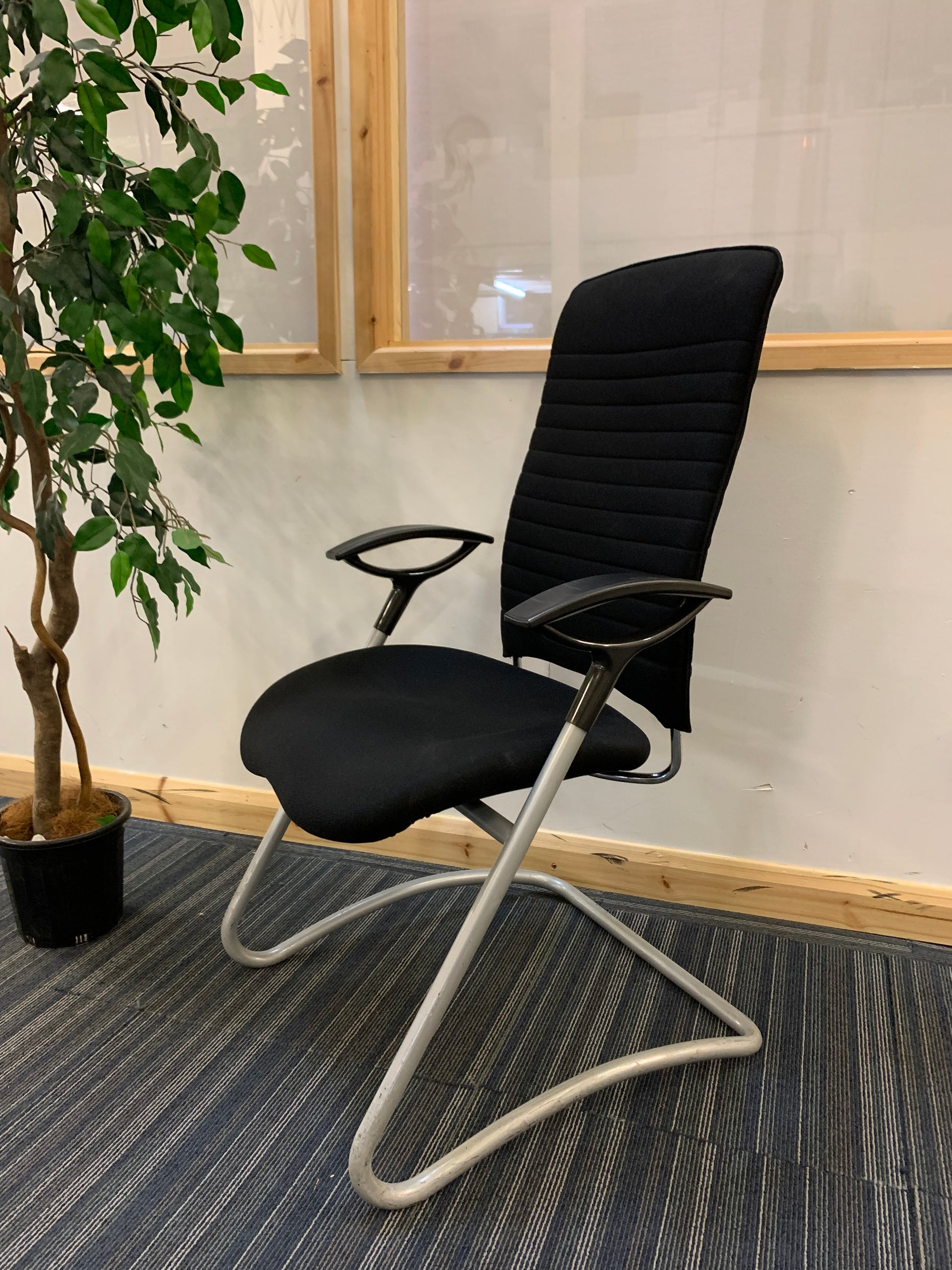 Black Sitland cantilever chair, left, tall green plant