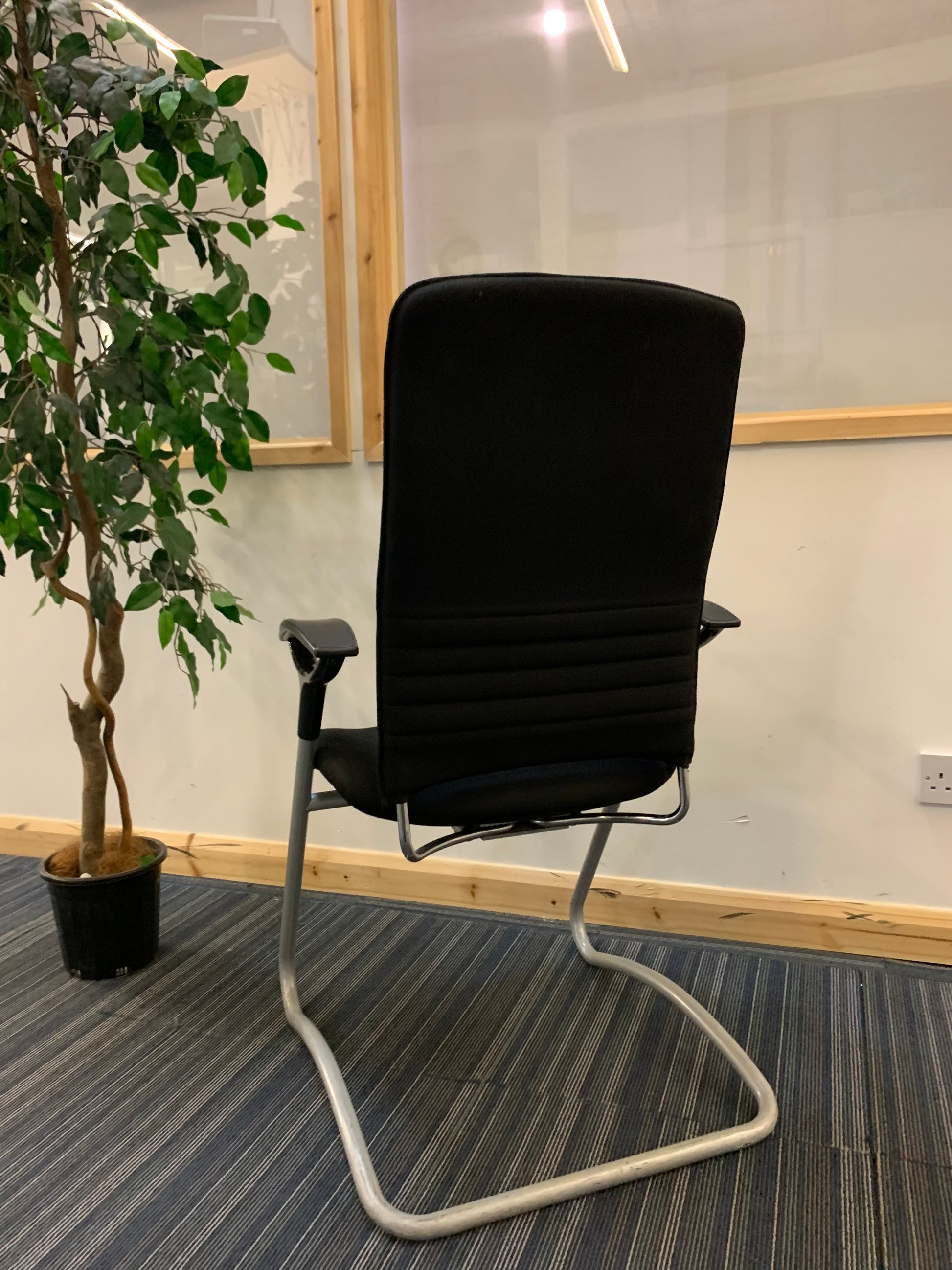 back of sitland cantilever chair, left, tall green plant