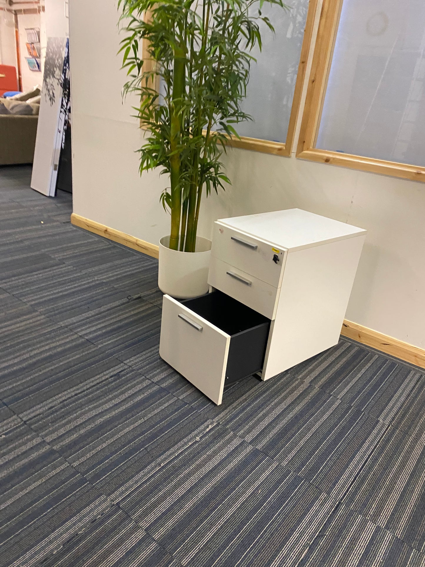 Tall green plant next to a filing drawers with open lower drawer