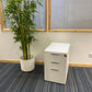 a white office drawer next to a green tall plant