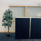 Black and white lockers, left, green plant