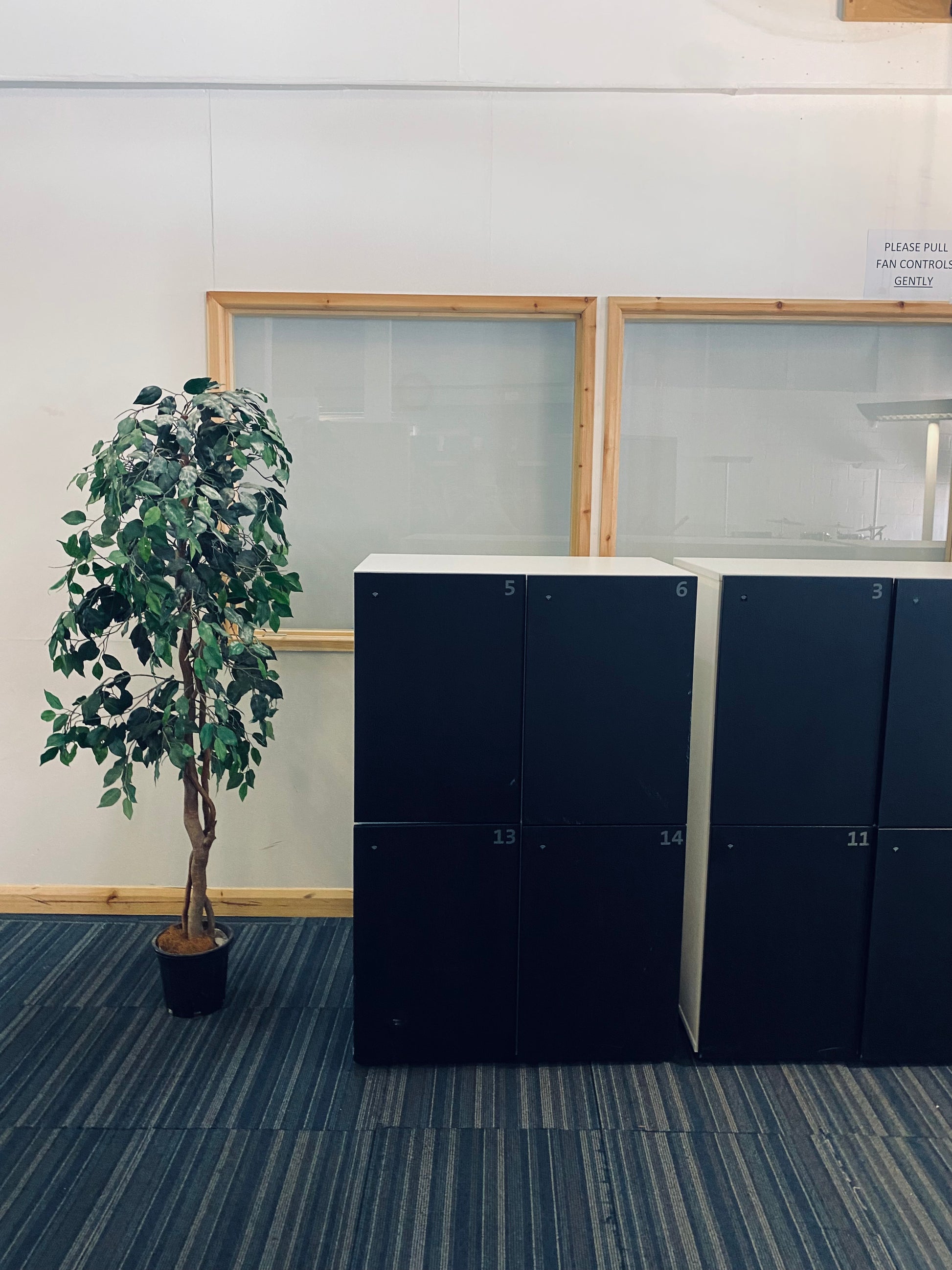 Black and white lockers, left, green plant