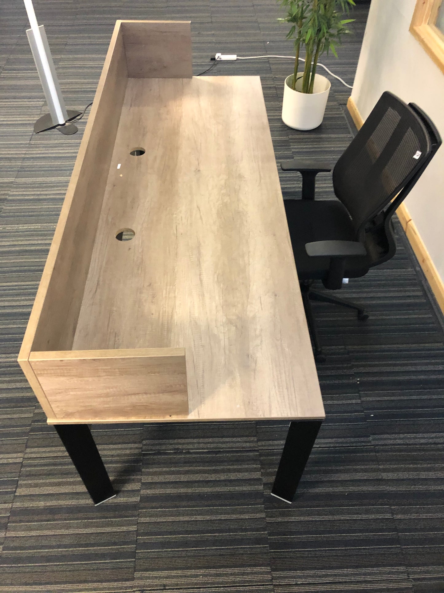 centre, walnut office executive desk in light walnut, Right, green plant in white vase