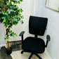 Left, tall green plant in black pot, centre, swivel office chair