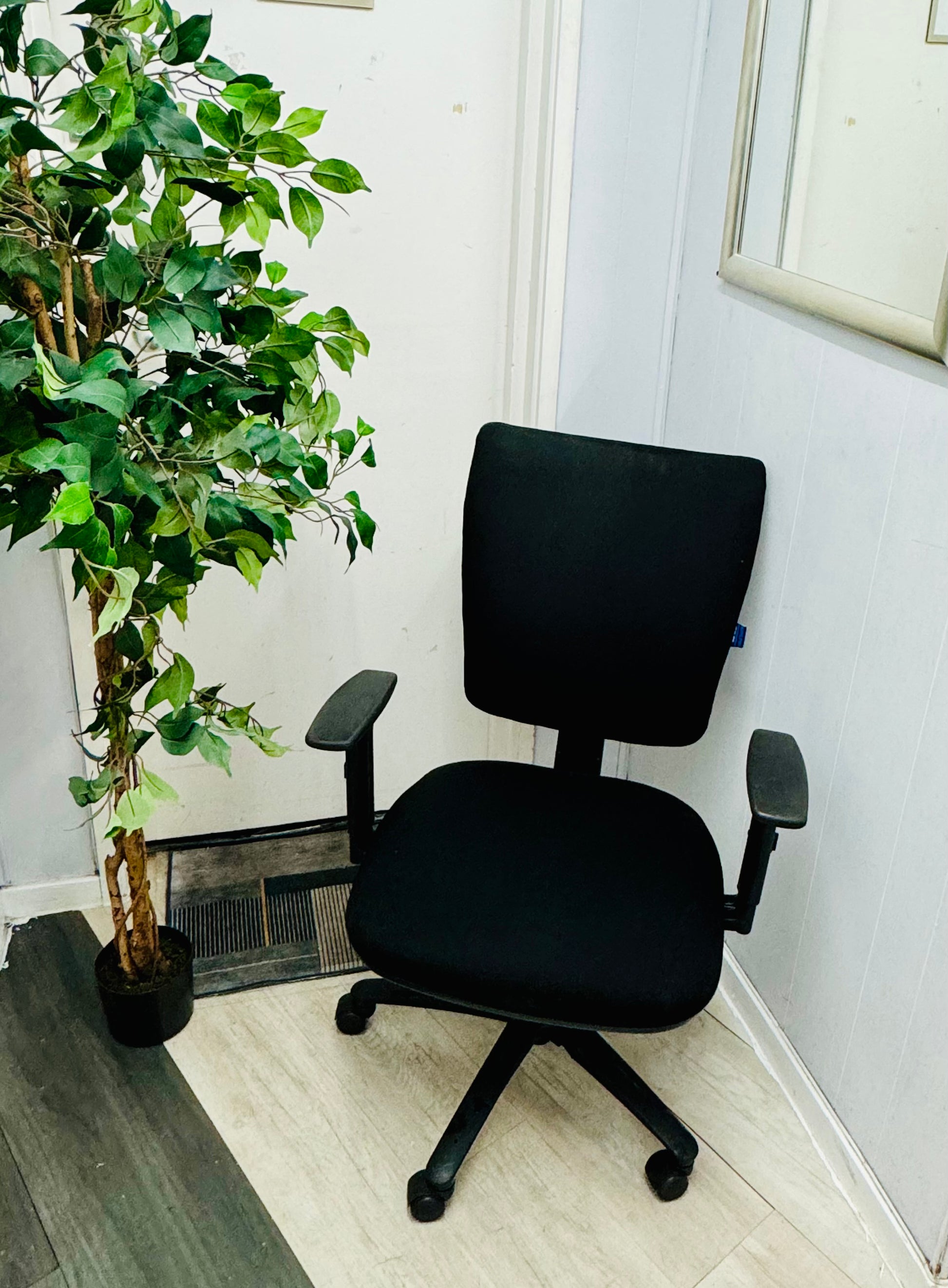 Left, tall green plant in black pot, centre, swivel office chair