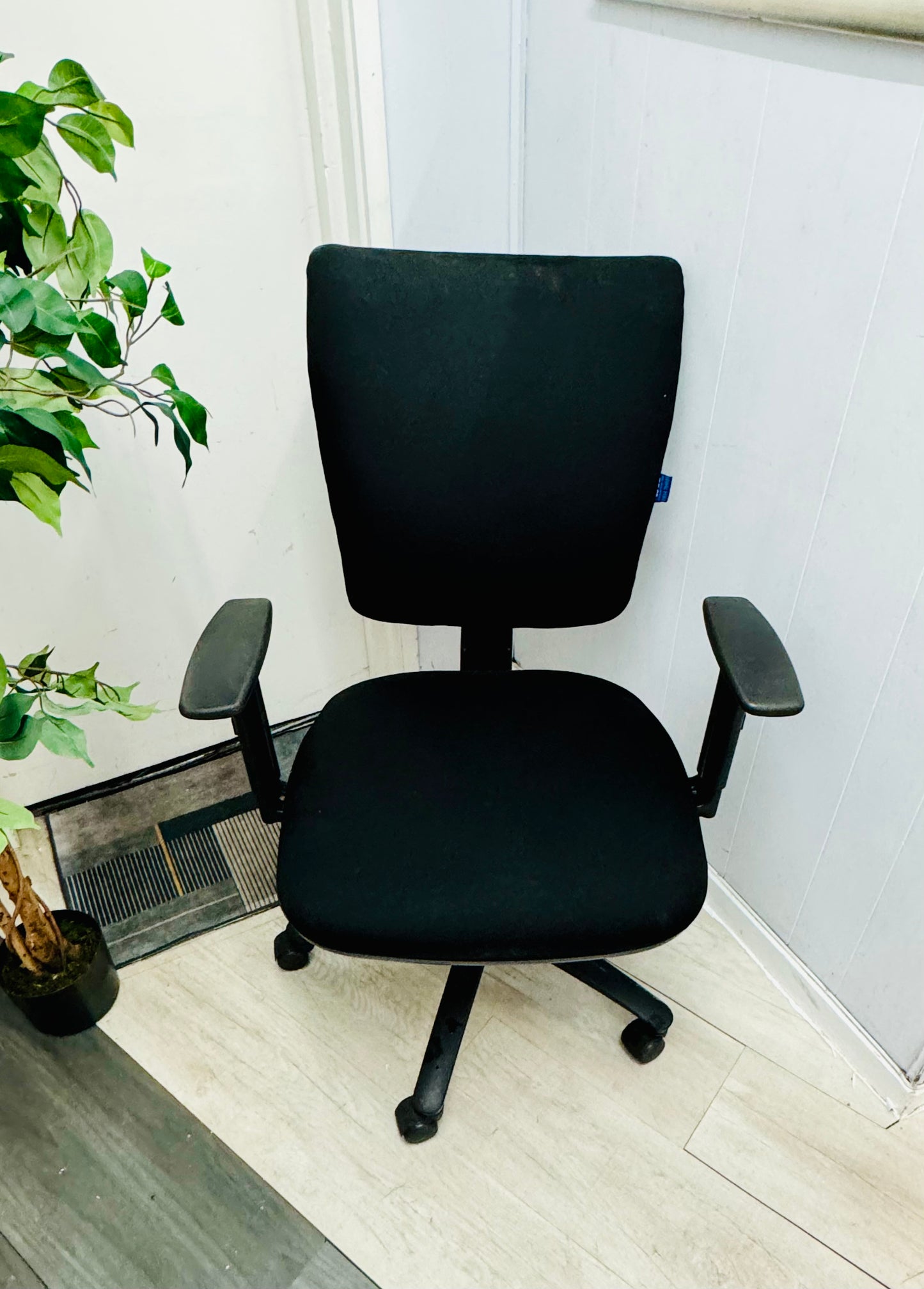 Left, green plant in black vase, centre, black adjustable office chair