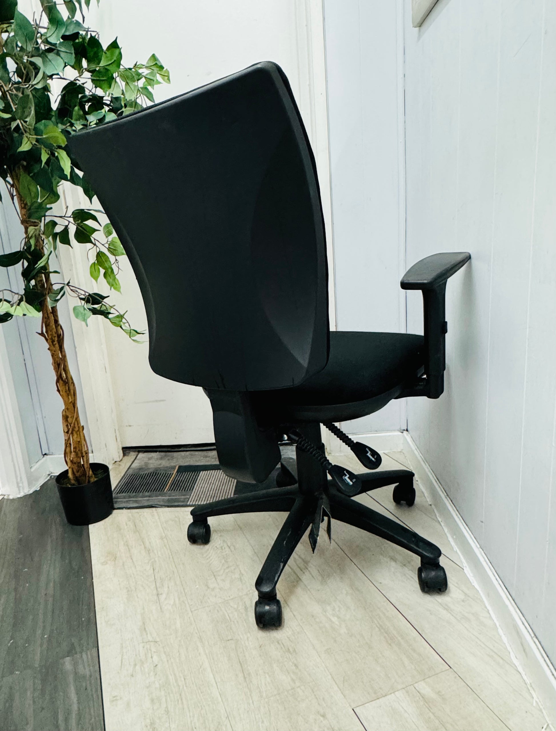 Left, tall green plant, centre, back of black swivel chair