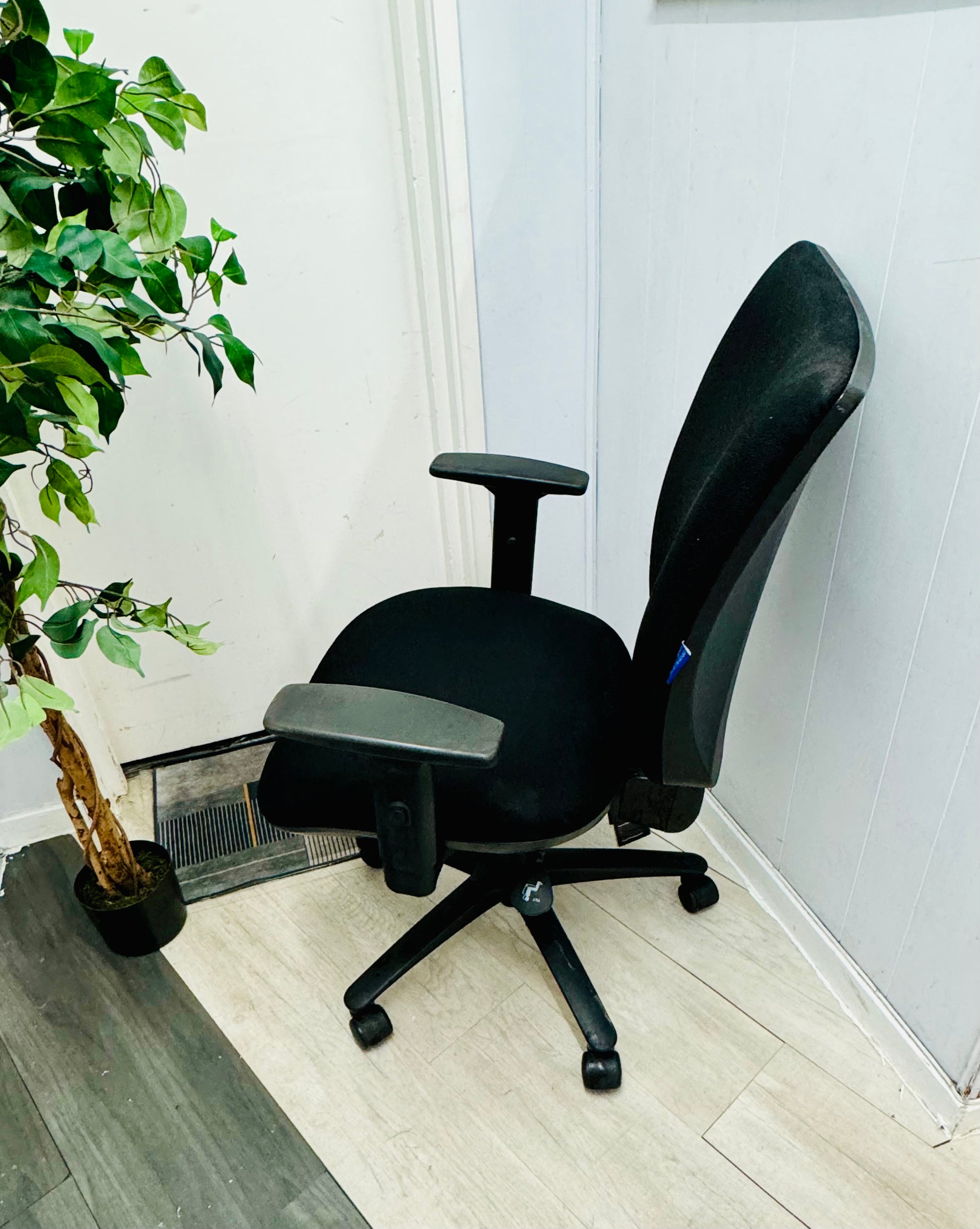 Left, green plant in vase, centre, desk chair in black