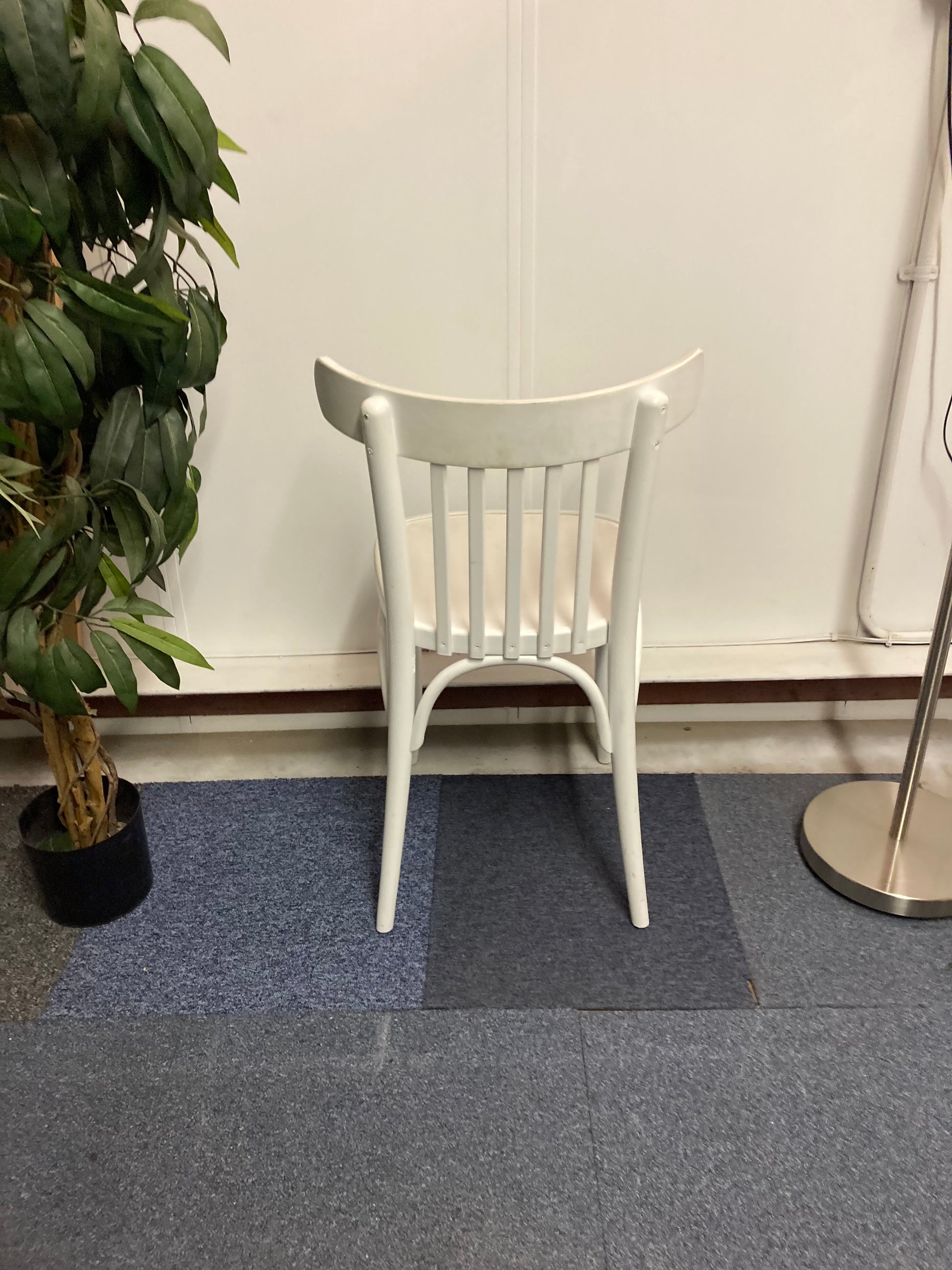 Left, tall green plant, centre, Back of Waiting area chair in white