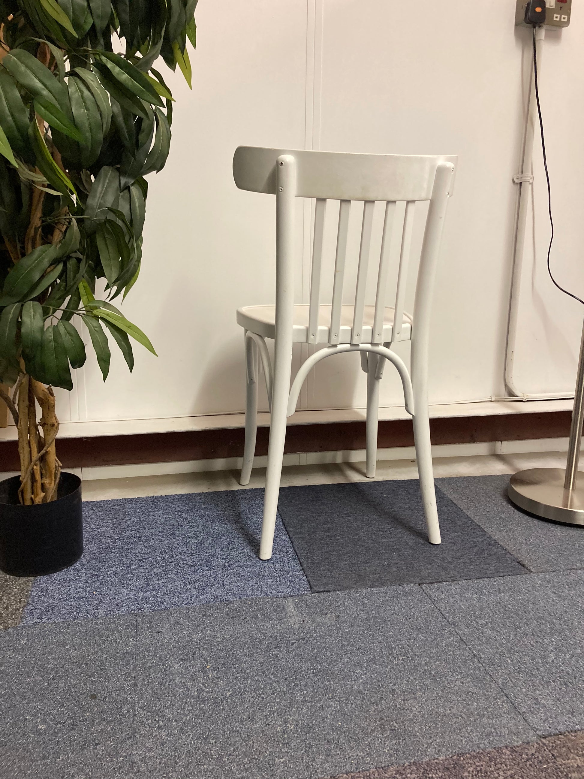 Left, tall green plant, centre, white dining chair