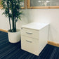 White Office low filing drawers, green plant on blue carpet