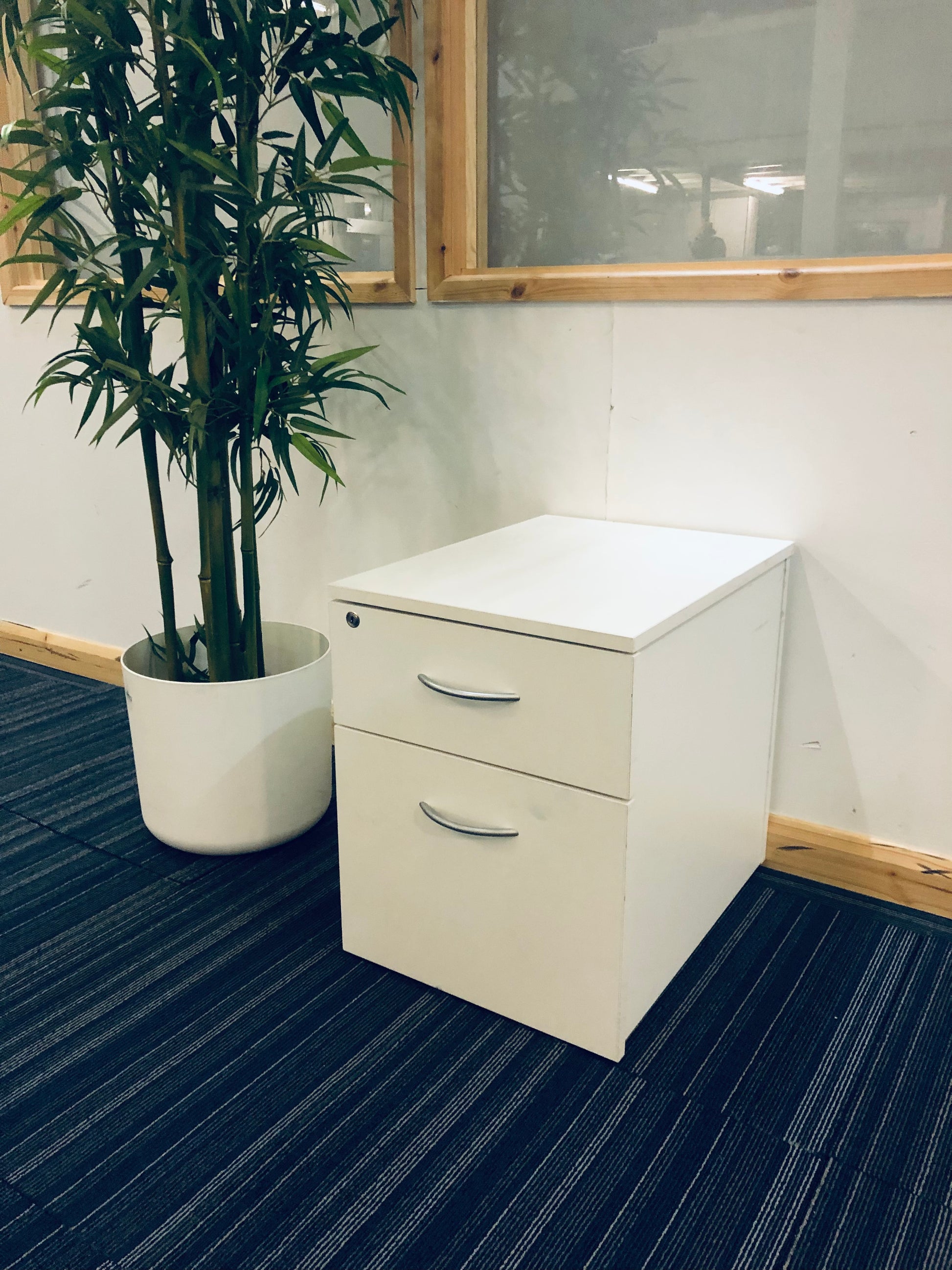 White Office low filing drawers, green plant on blue carpet