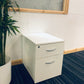 2 drawer office drawers and green plant 