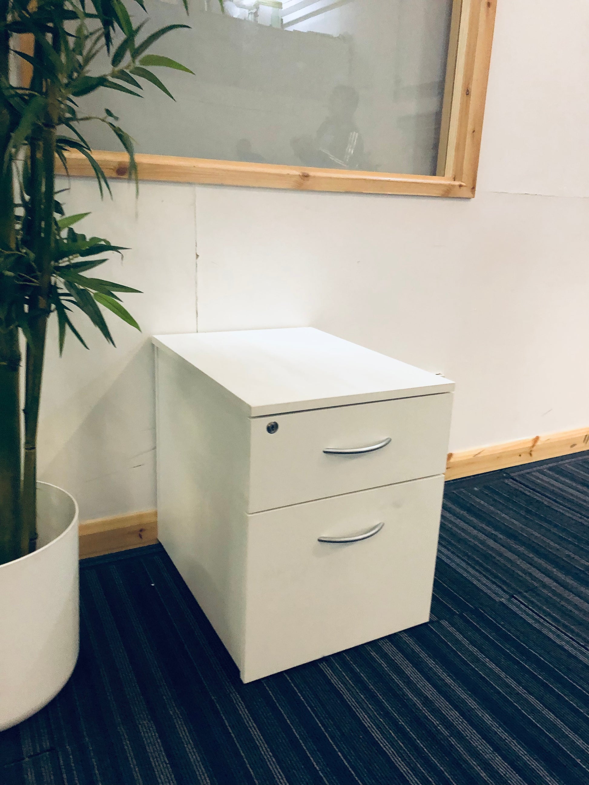 2 drawer office drawers and green plant 