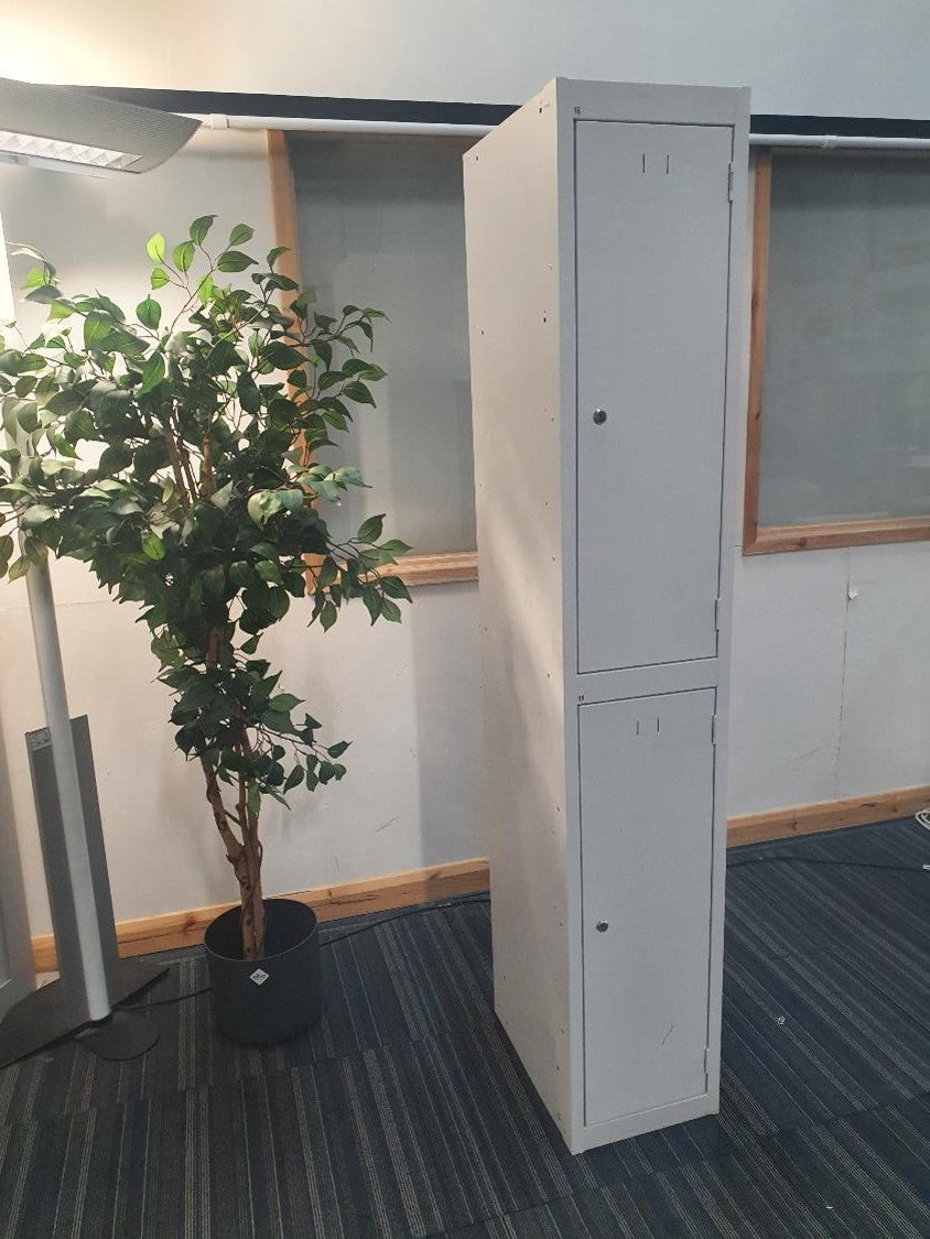 Tall green plant, office 2 door grey locker
