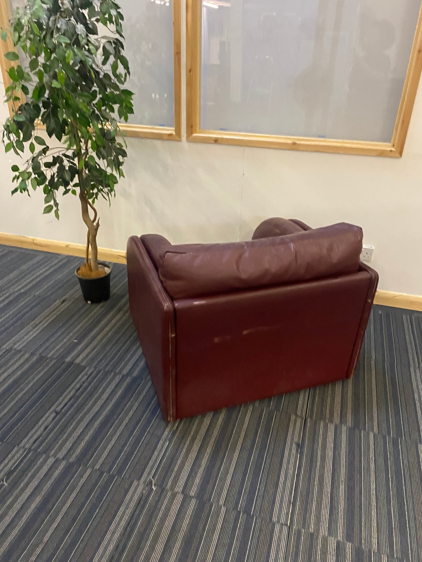 back of leather single armchair sofa with plant