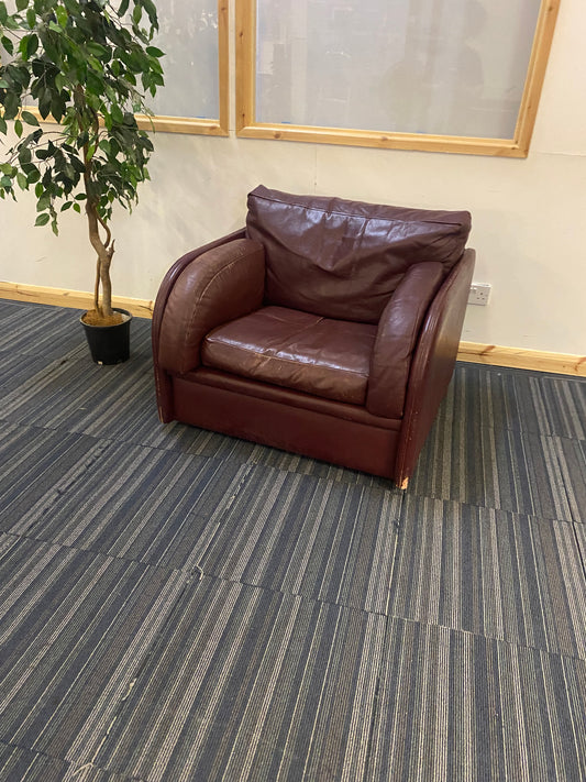 leather singe armchair sofa on carpet with plant on left