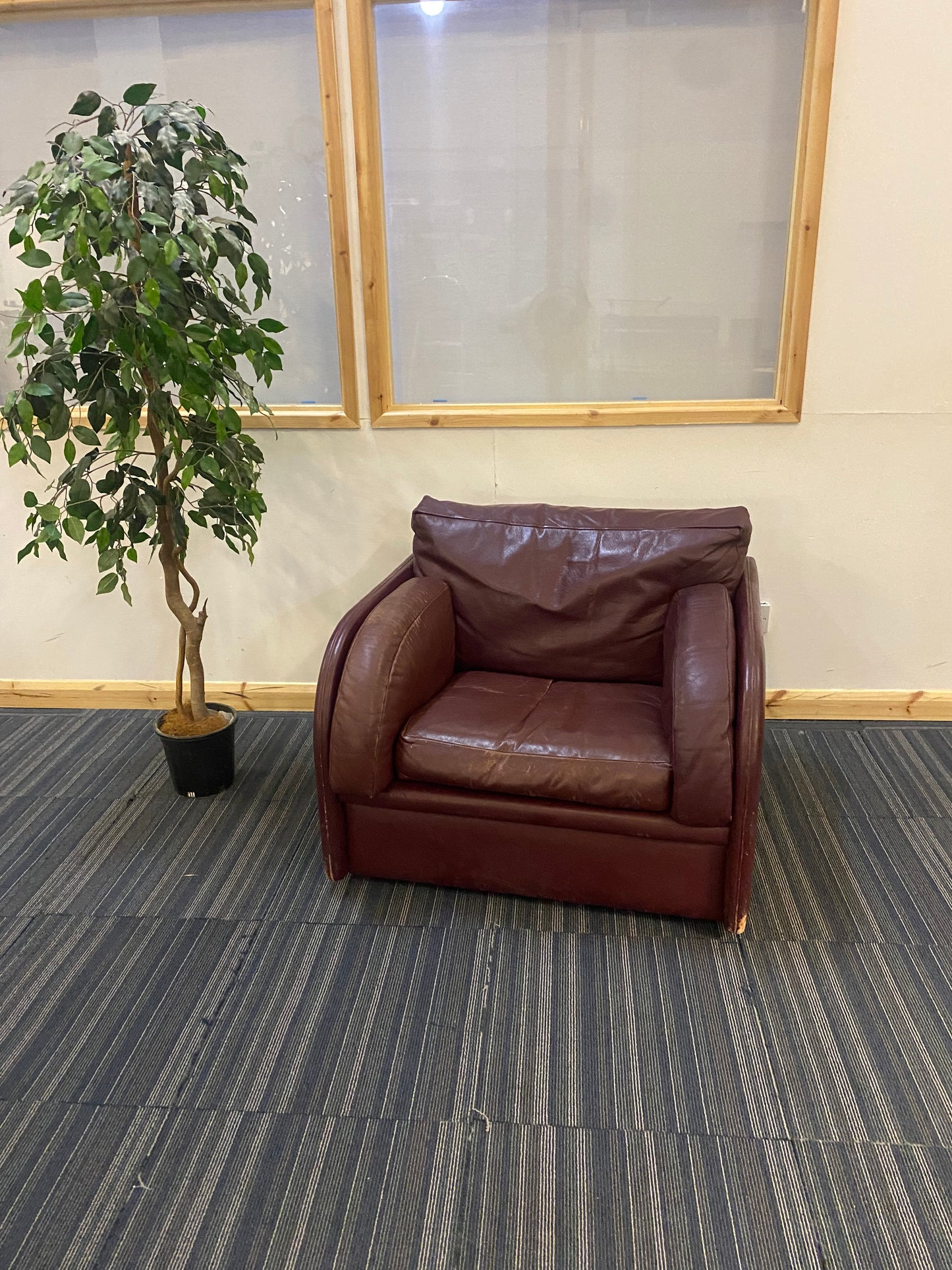 centre photo leather single armchair sofa with plant