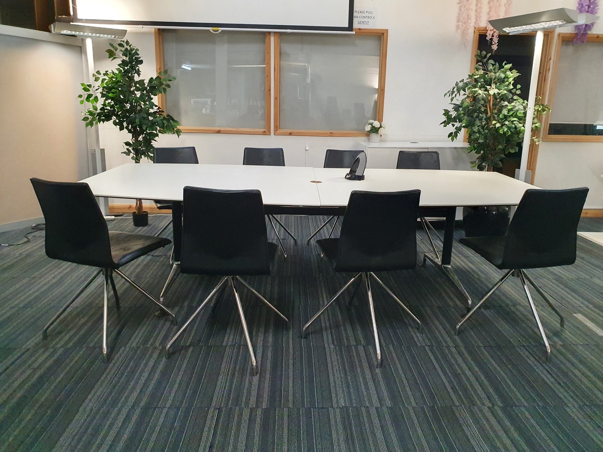 Left, tall green plant, centre, large boardroom table and 8 seats, right, tall green plant