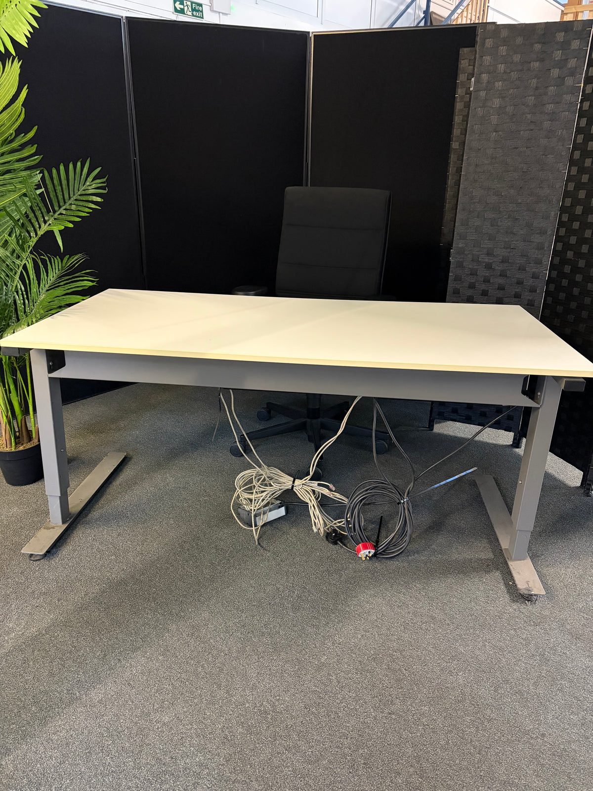Secondhand extendable white height adjustable desk - 160cm x 90cm black screen and plant