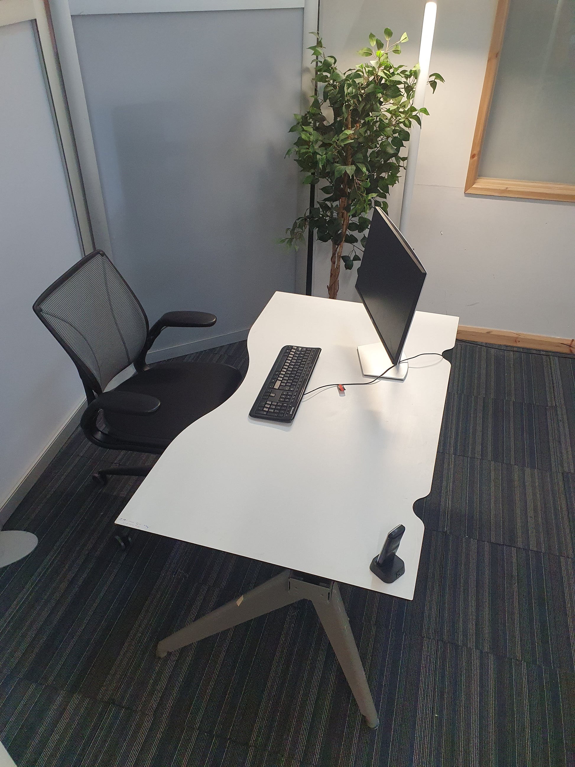 Office Desk with black chair, computer setup and tall green plant