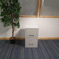 Tall green plant 2 drawer filing cabinet 