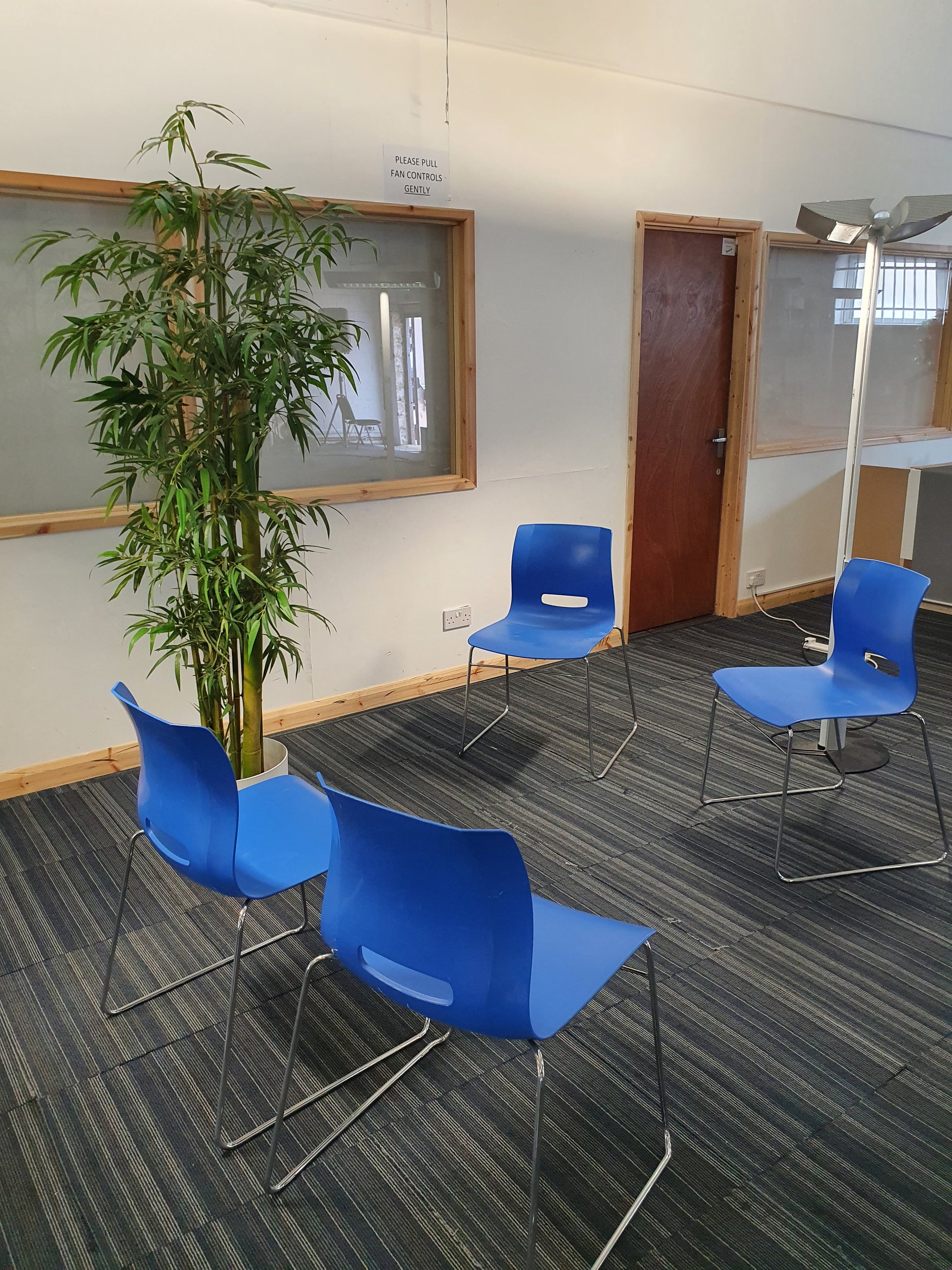 Tall green plant and centre, four blue senator dining chairs