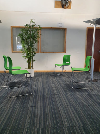 tall green plant, four green canteen chairs